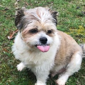 Meet your Posher, Karen